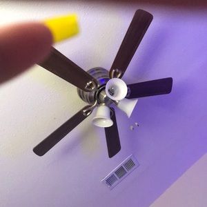 Meet your Posher, Yvonne